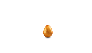 Deponti GmbH
